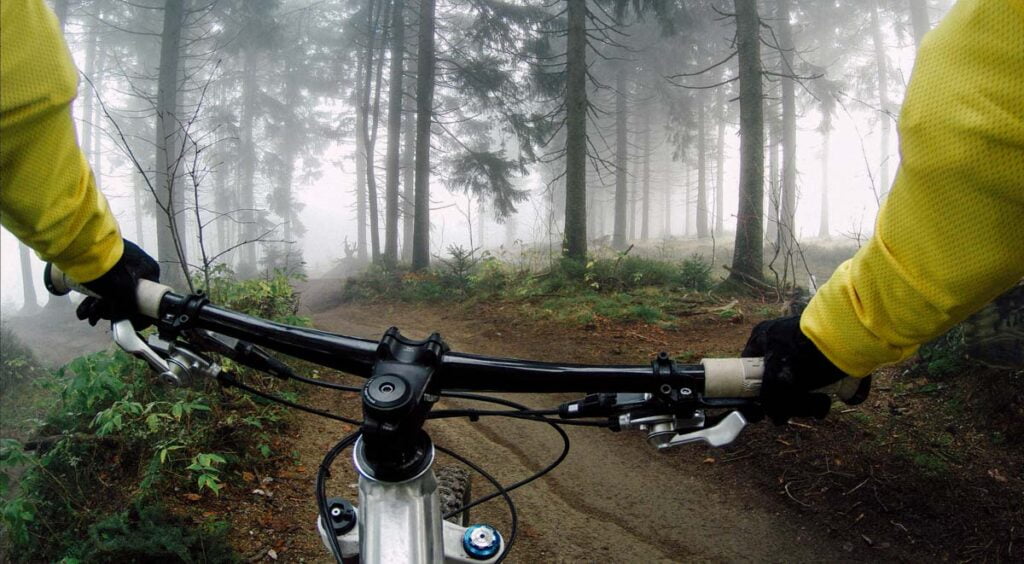 mountain bike handle bards and view woods