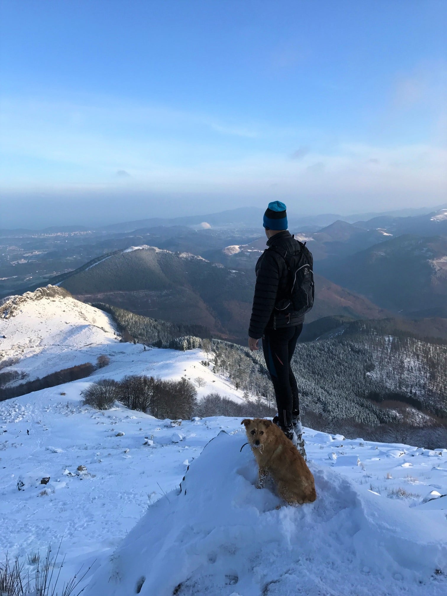 man dog looking out over snowy valley